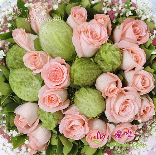 rosas rosas