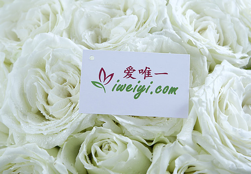 send a bouquet of white roses to China