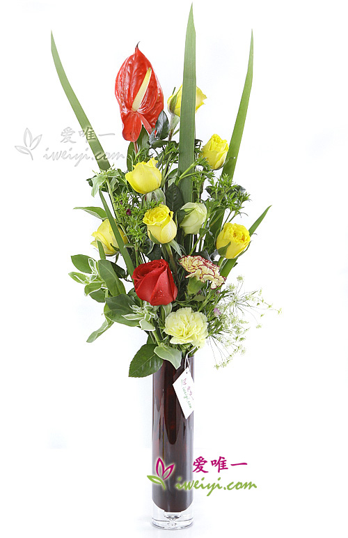 The vase of flowers « Joyful cheer »