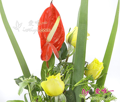 中国に黄色いバラの花瓶を送る