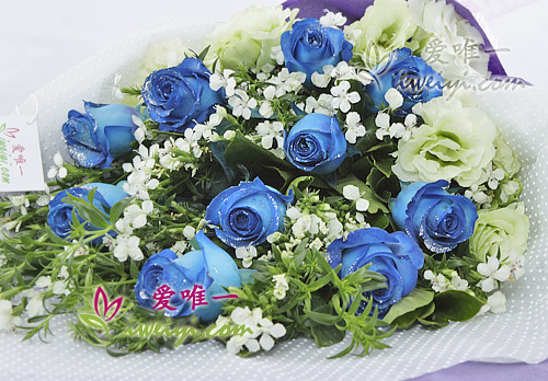 blue roses