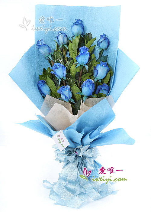 Le bouquet de fleurs « Blue Vision »