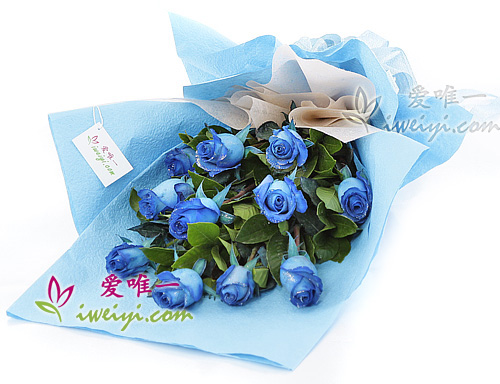 bouquet de 11 roses de couleur bleu