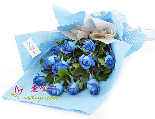 bouquet of 11 blue roses