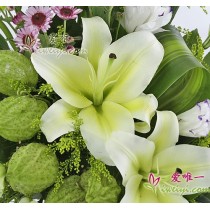 पीली लिली