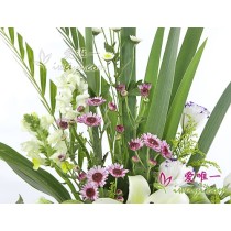 Envie um vaso de flores para a China.