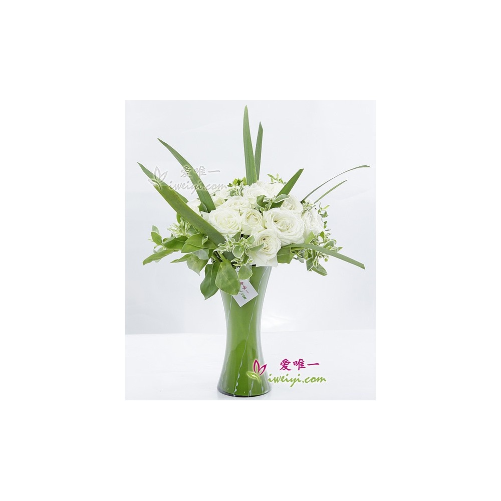 सफेद गुलाब का फूलदान « पृथ्वी पर शांति »