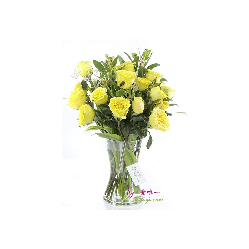 The vase of yellow roses « Best wishes »