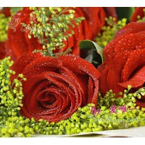 Paixão e amor por ela