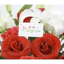 मेरा प्यार बनो