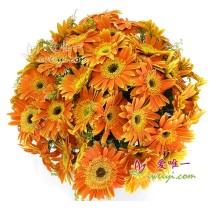 पूर्ण सुख