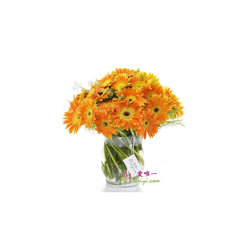 पूर्ण सुख