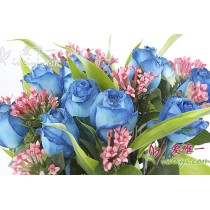 玻璃花瓶由 13 朵淡藍色玫瑰、粉紅色 Bouvardia hybrida 和綠草組成。