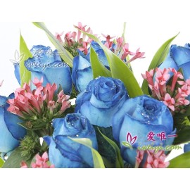 花材:13枝蓝色妖姬玫瑰