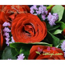 Buquê de Fragrâncias