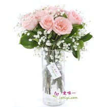 花瓶裡的花“閃亮的美麗”