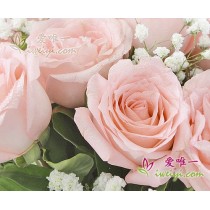 花瓶裡的花“閃亮的美麗”