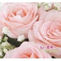 花瓶裡的花“閃亮的美麗”