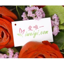 Buquê de Fragrâncias