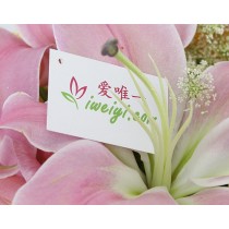 꽃병 « 맑은 날 »