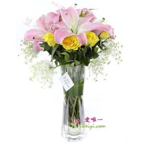 The vase of flowers « Sunny day »