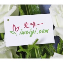 प्रेम क्रॉनिकल