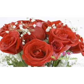 紅玫瑰花瓶 « 發光的愛 »