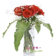 Die Vase mit roten Rosen « Glühende Liebe »