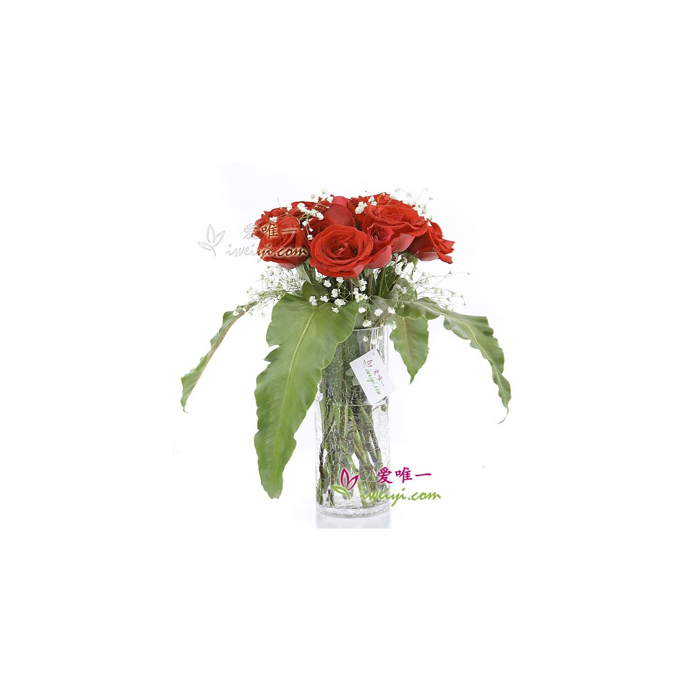红玫瑰花瓶 « 发光的爱 »