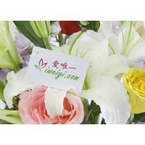 O vaso de flores «Amor Arco-Íris»