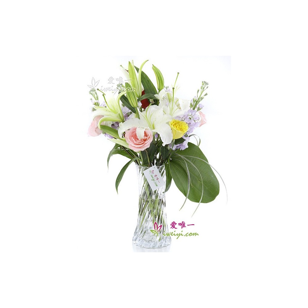 O vaso de flores «Amor Arco-Íris»