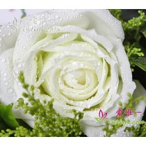 आपकी वजह से