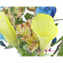 The vase of flowers « Electric Mood »