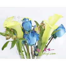 The vase of flowers « Electric Mood »