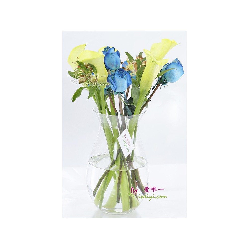 O vaso de flores « Humor Elétrico »