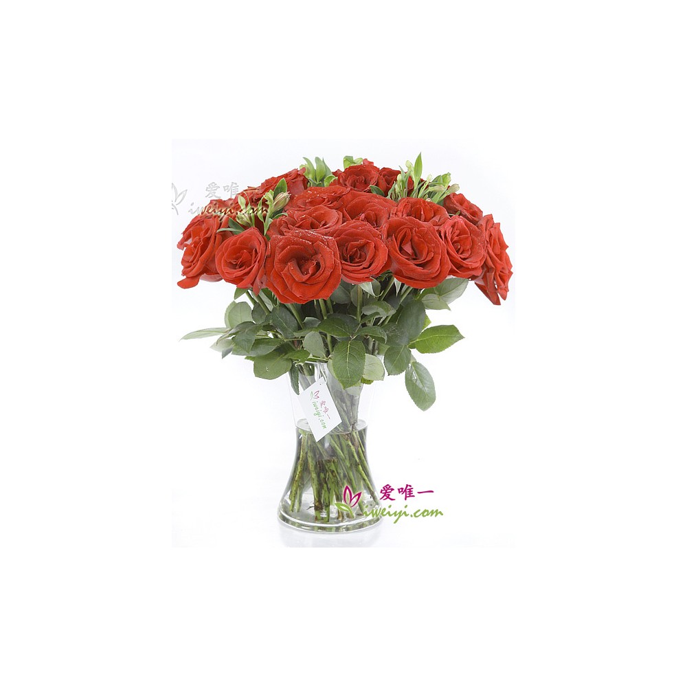 紅玫瑰花瓶 « 最愛的浪漫 »