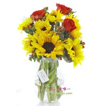 Mini Bouquet Single Stalk Sunflower with Gypsophila