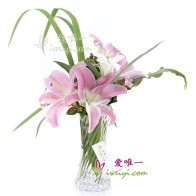 花瓶裡的花 « 花香和諧 »