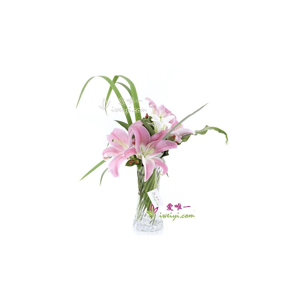 The Vase of Flowers « Floral Harmony »