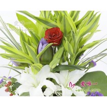 꽃병 « 타오르는 길 »