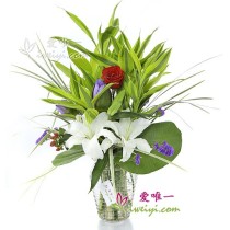 O Vaso de Flores «Caminho Incandescente»