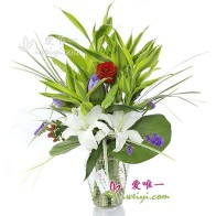 Le Vase de Fleurs « Sentier Flamboyant »