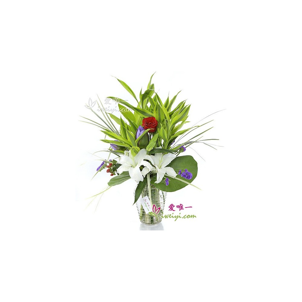 The Vase of Flowers « Blazing Path » The Vase of Flowers « Blazing Path »