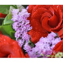 一束鲜花 « 情人节快乐！ »