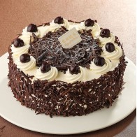 [Local Shop] 클래식 블랙 포레스트...