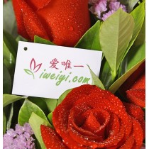 Feliz Dia dos Namorados!