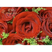 Estarei sempre com você