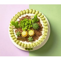 【元祖店】沙漠仙人掌奶油生日蛋糕