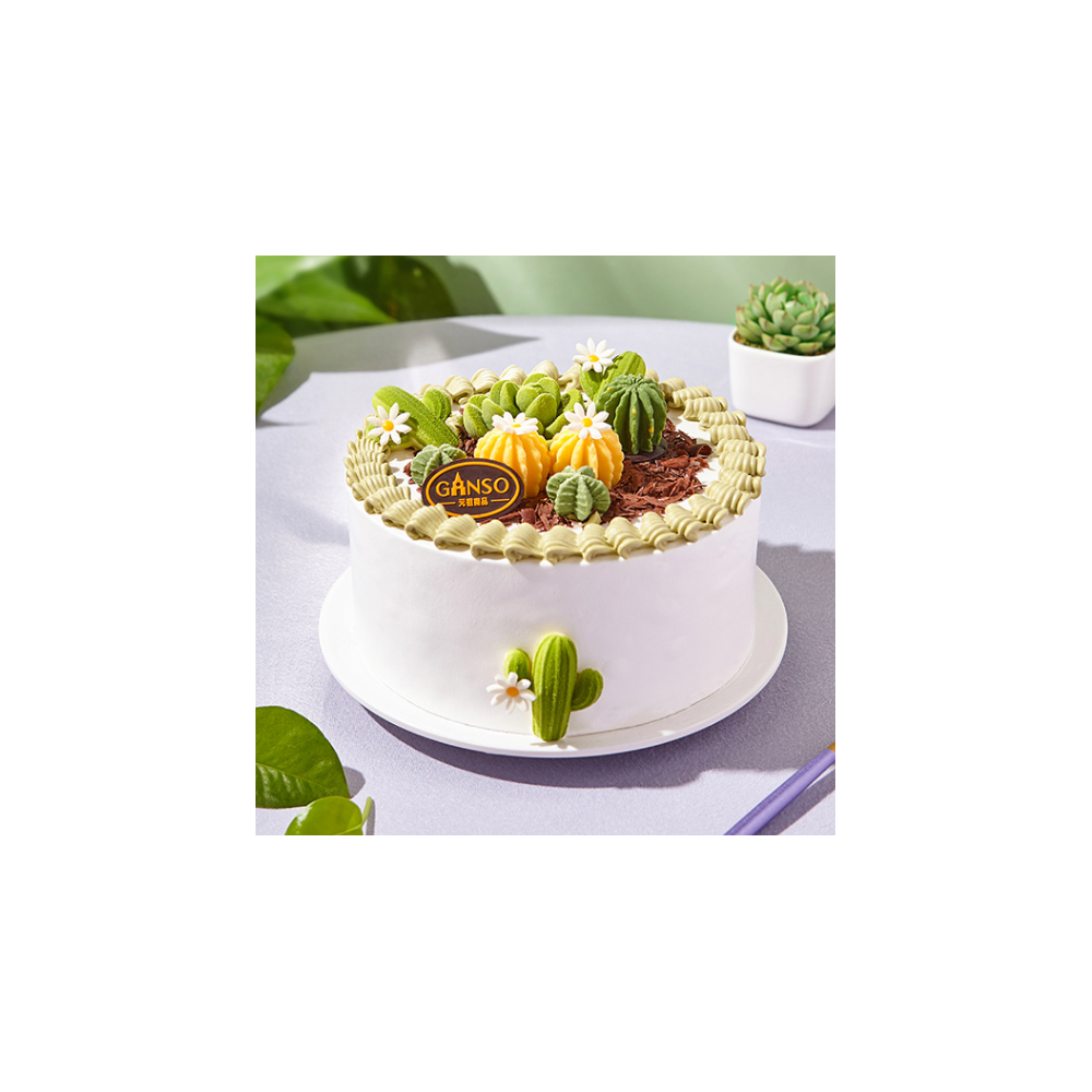 [Ganso Shop] Bolo de Aniversário de Frutas com Pudim de Creme de Cacto do Deserto