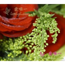 हमेशा आपके साथ रहूँ